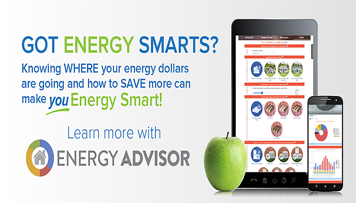 Electric Propane Energy Services Nc Sc Energyunited