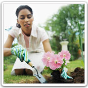 Gardening