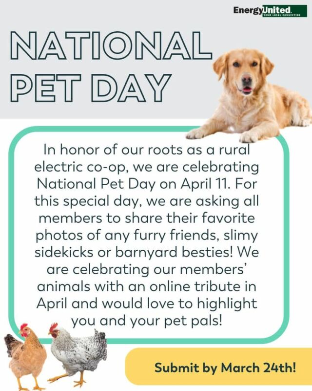 Show off your pet pals for National Pet Day! 🐾 

From furry friends to barnyard buddies, we want to celebrate them all. Share your favorite photos with us, and they could be featured in our online tribute! 

Submit here: https://www.energyunited.com/animal-photos/