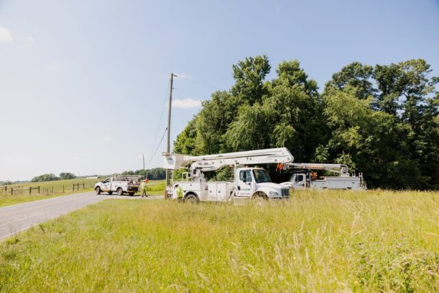 Beat the summer heat with these quick tips:

🌡️ Set your thermostat to the highest comfortable temperature
⚡ Use large appliances later in the evening or early in the morning
💧 Stay hydrated and keep emergency supplies on hand

For more tips, visit https://zurl.co/EnergyEfficiencyTips