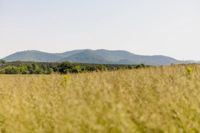Whether you're enjoying a "staycation" or going international, we invite you to share your favorite vacation photos at the link below to be featured at the end of the summer!

https://zurl.co/VacationPhotos