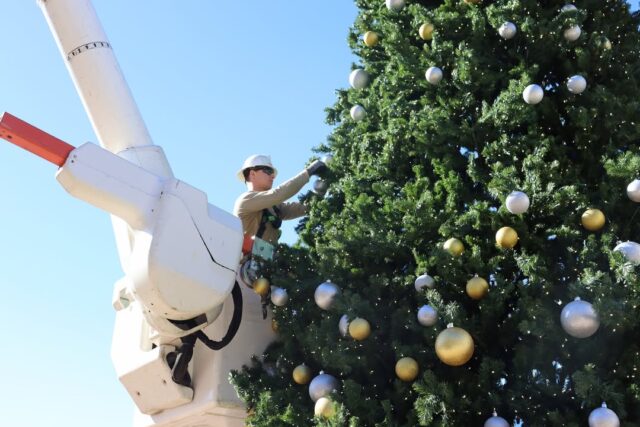 𝗟𝗶𝗴𝗵𝘁𝗶𝗻𝗴 𝗨𝗽 𝗧𝗵𝗶𝘀 𝗛𝗼𝗹𝗶𝗱𝗮𝘆 𝗦𝗲𝗮𝘀𝗼𝗻  🎄

Our team was honored to assist with decorating the big tree for this Saturday's Light Up Cornelius celebration. 

We hope to see you there! 

#TheEnergyUnitedWay