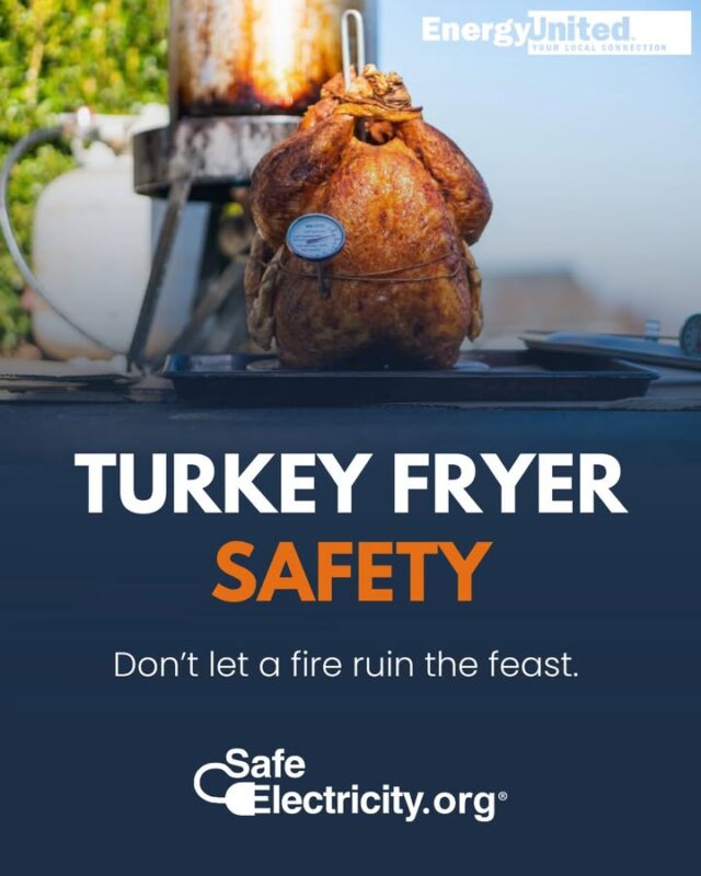 🦃 Don’t let a fire ruin the feast. 

Before you plug in or fire up a fryer, follow these safety tips: SafeElectricity.org/blog/turkey-fryer-safety