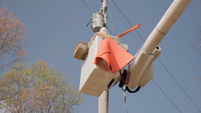 For EnergyUnited, 99% reliability is a daily standard, not a one-time achievement.

It's the product of long-term decisions: investments in system improvements, consistent vegetation management and the kind of proactive maintenance that catches problems before they become outages.

In this video, Steve McCachern, vice president of energy delivery, highlights our reliability investments, and why the people doing the work are the part of the equation that matters most.

#TheEnergyUnitedWay