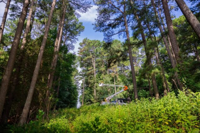 Most of the power lines that serve our members are out of sight.  

That's where our crews are—working behind the scenes to maintain the lines you depend on every day and help keep your power reliable. 👷💡 

#TheEnergyUnitedWay